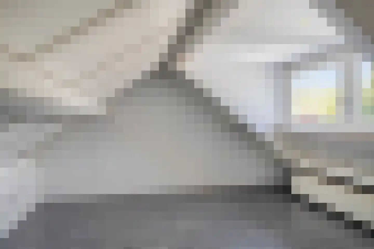 Bloedkoraal 1 Eindhoven thumbnail 37