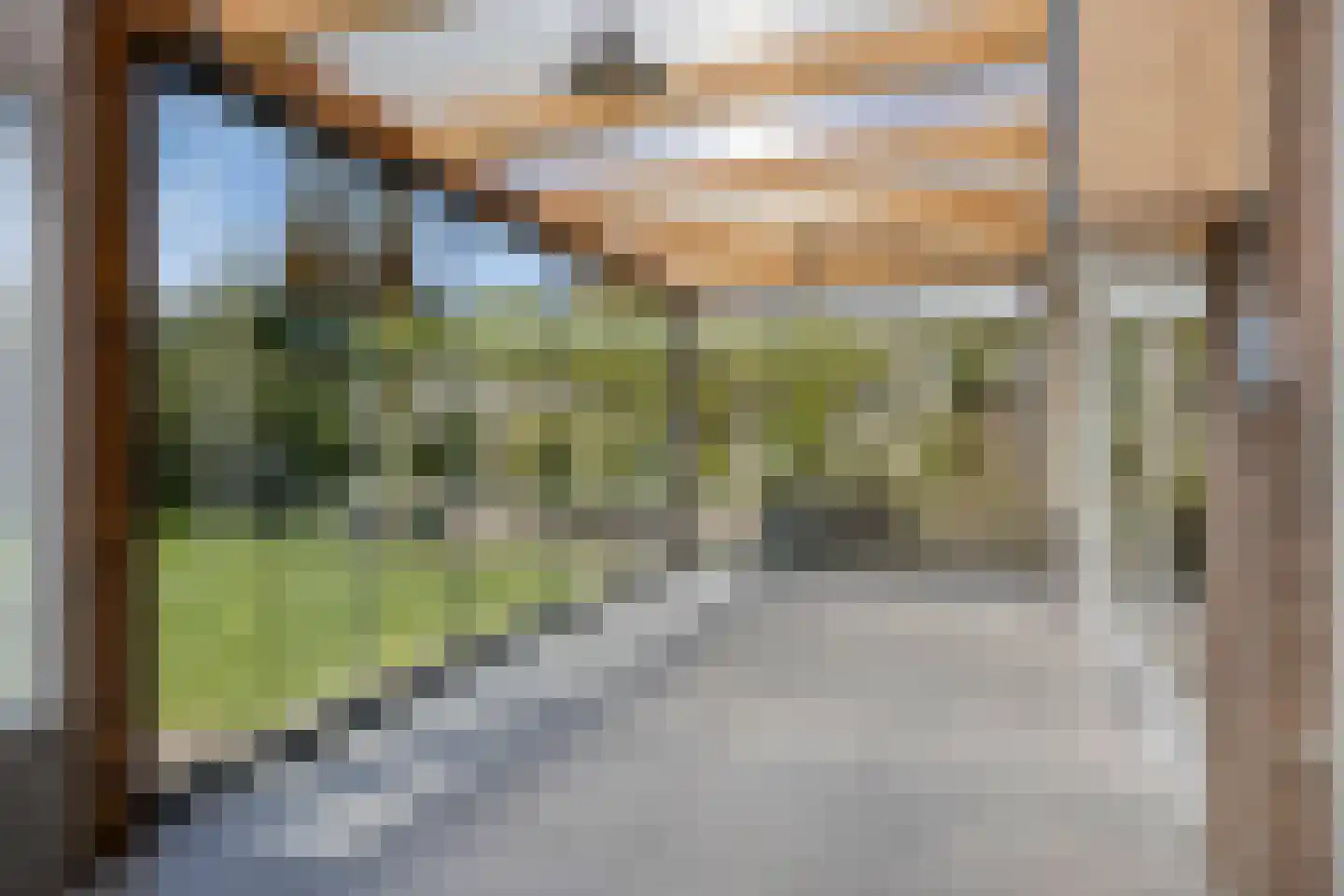 Bloedkoraal 1 Eindhoven thumbnail 39