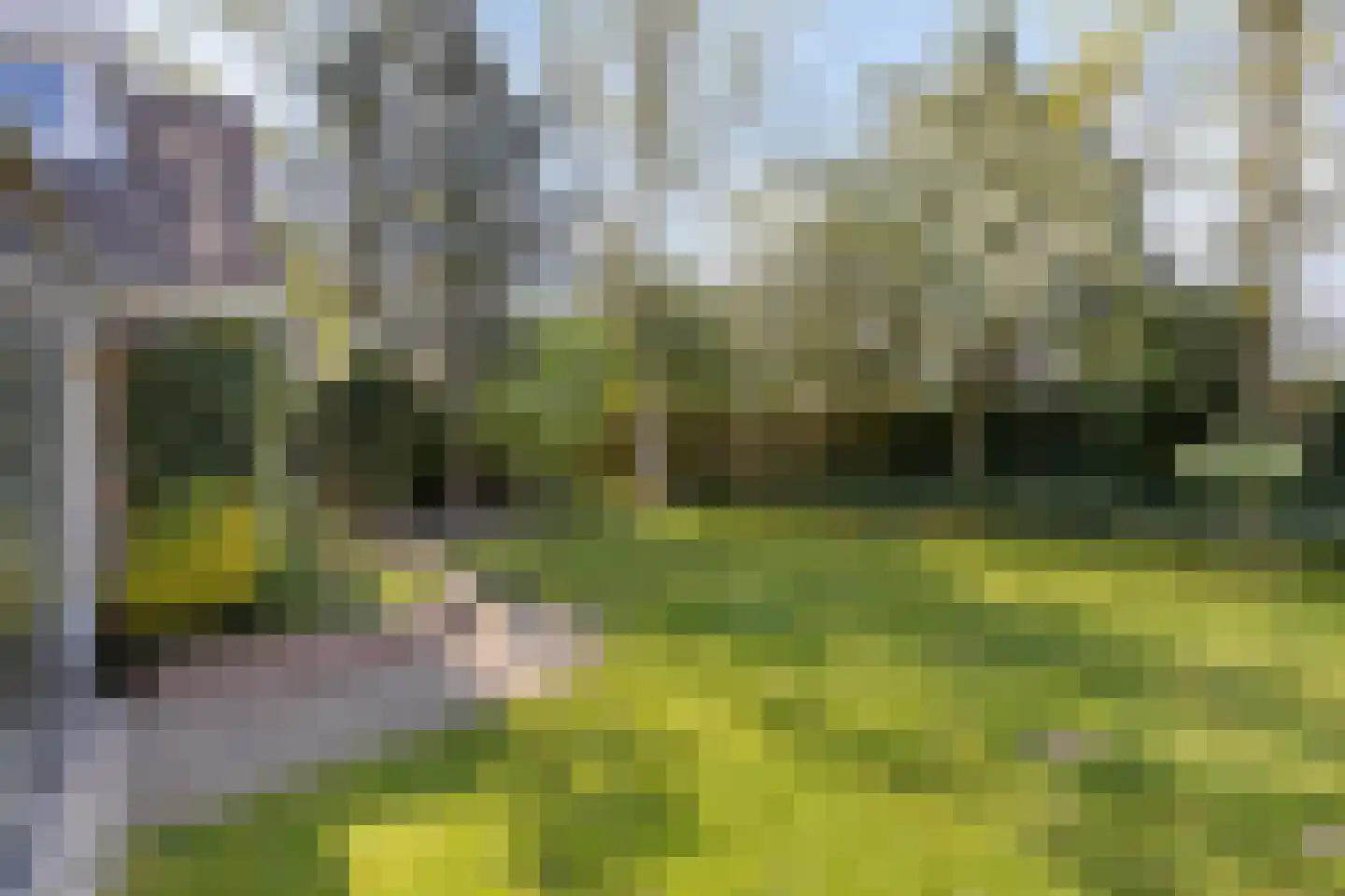 Bloedkoraal 1 Eindhoven thumbnail 41