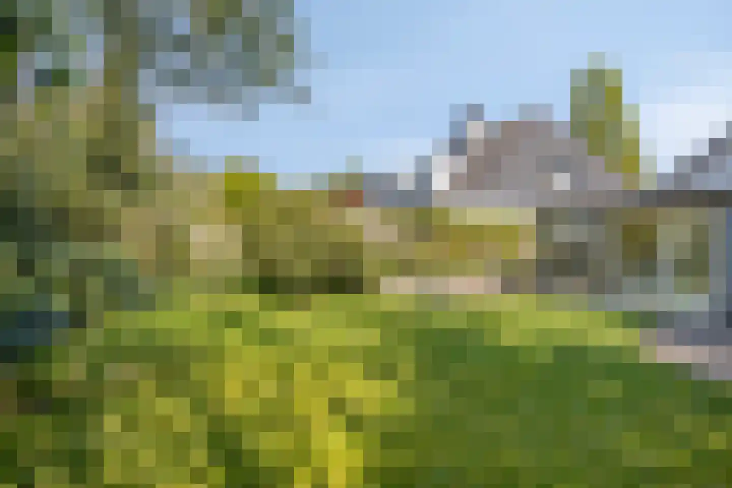 Bloedkoraal 1 Eindhoven thumbnail 42