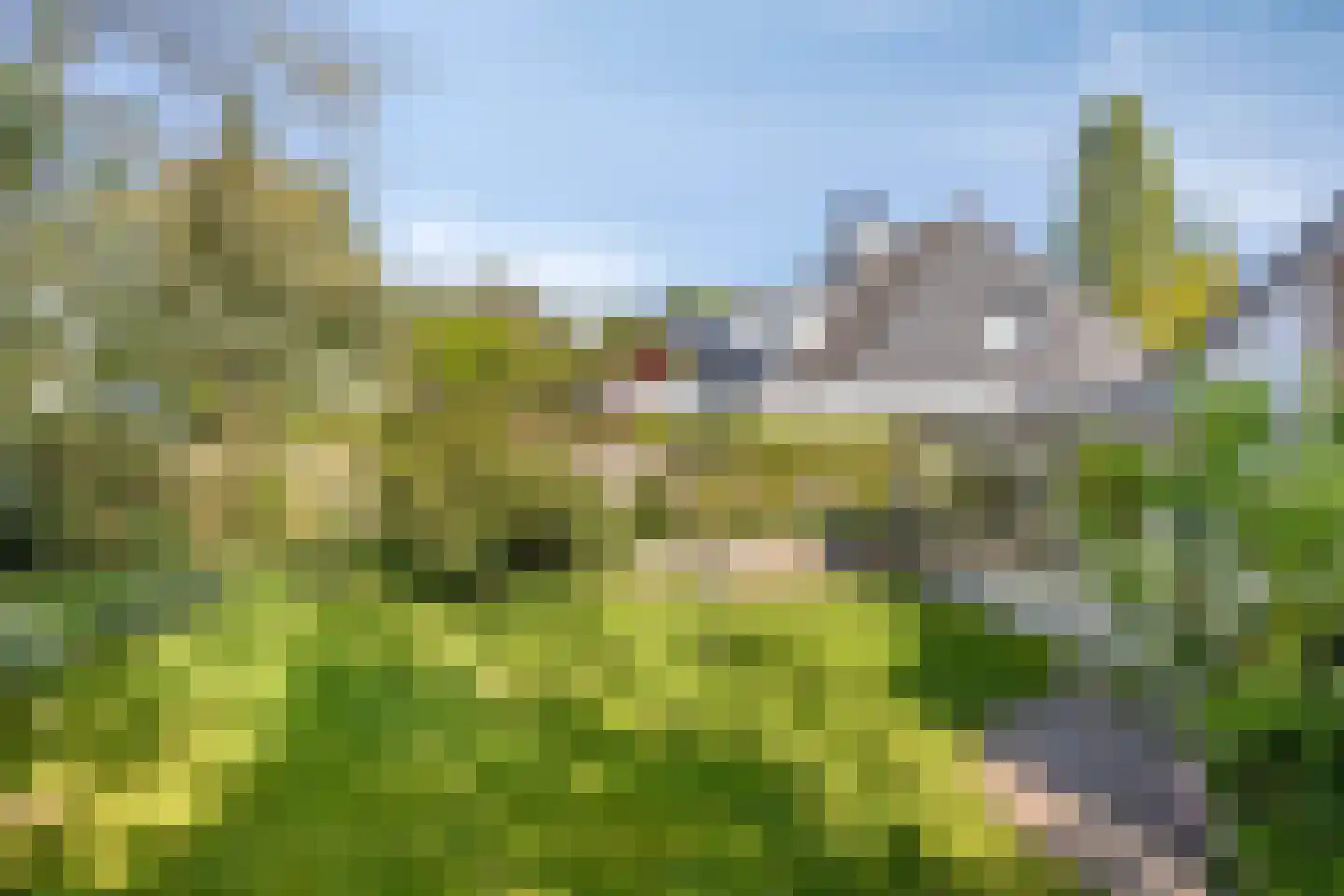 Bloedkoraal 1 Eindhoven thumbnail 43