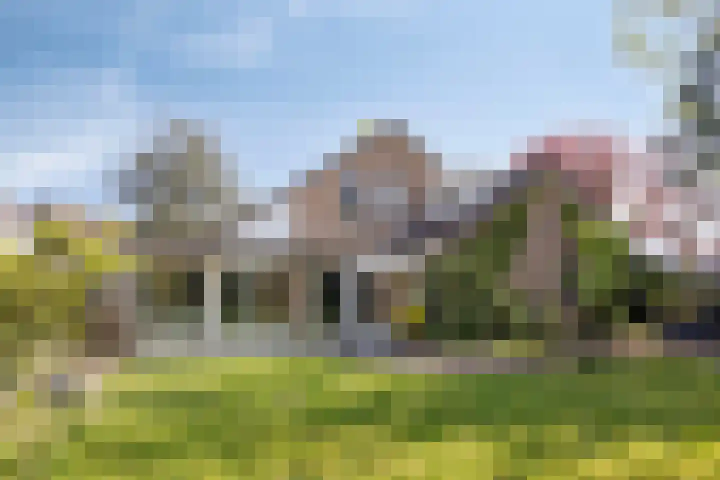 Bloedkoraal 1 Eindhoven thumbnail 44