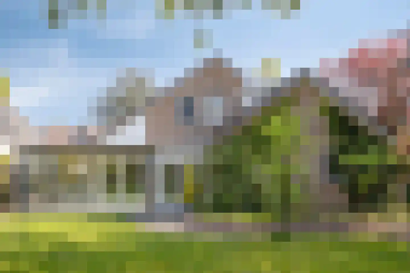 Bloedkoraal 1 Eindhoven thumbnail 45