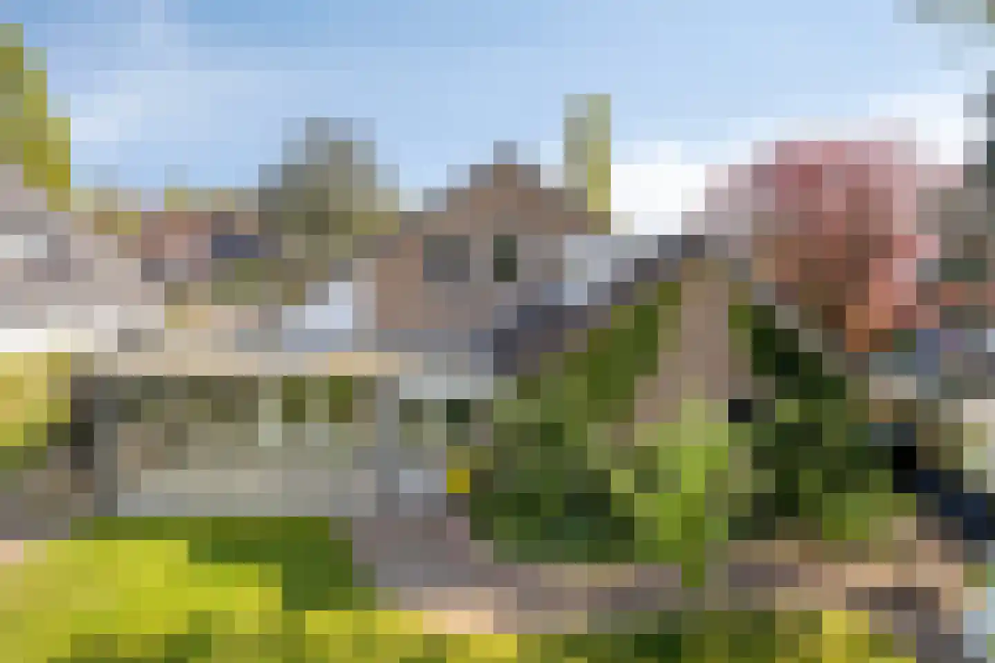 Bloedkoraal 1 Eindhoven thumbnail 46