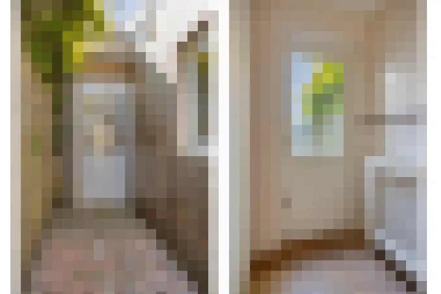 Bloedkoraal 1 Eindhoven thumbnail 47