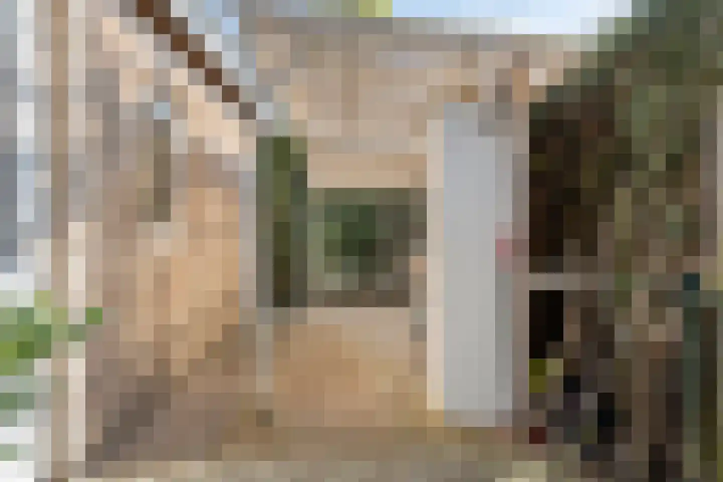 Bloedkoraal 1 Eindhoven thumbnail 48