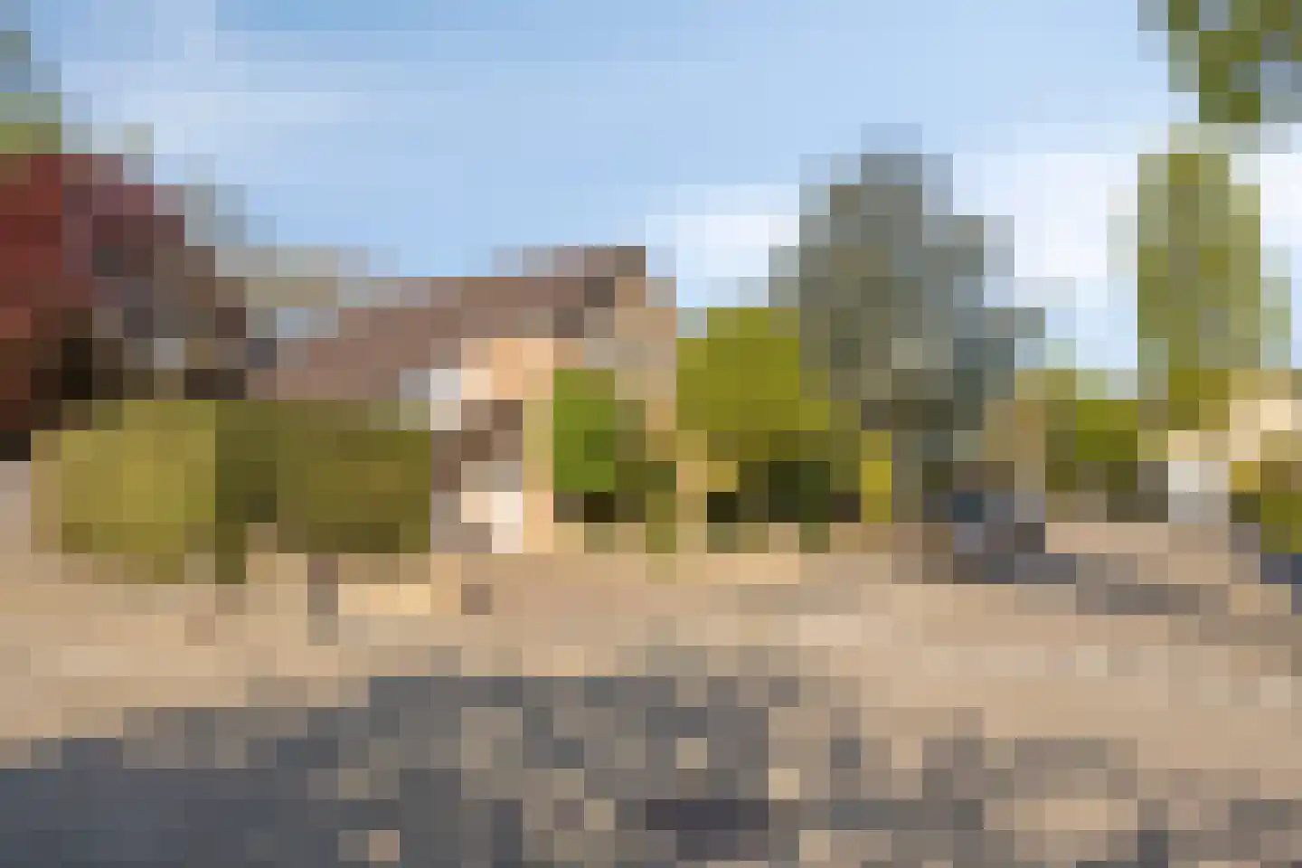 Bloedkoraal 1 Eindhoven thumbnail 49