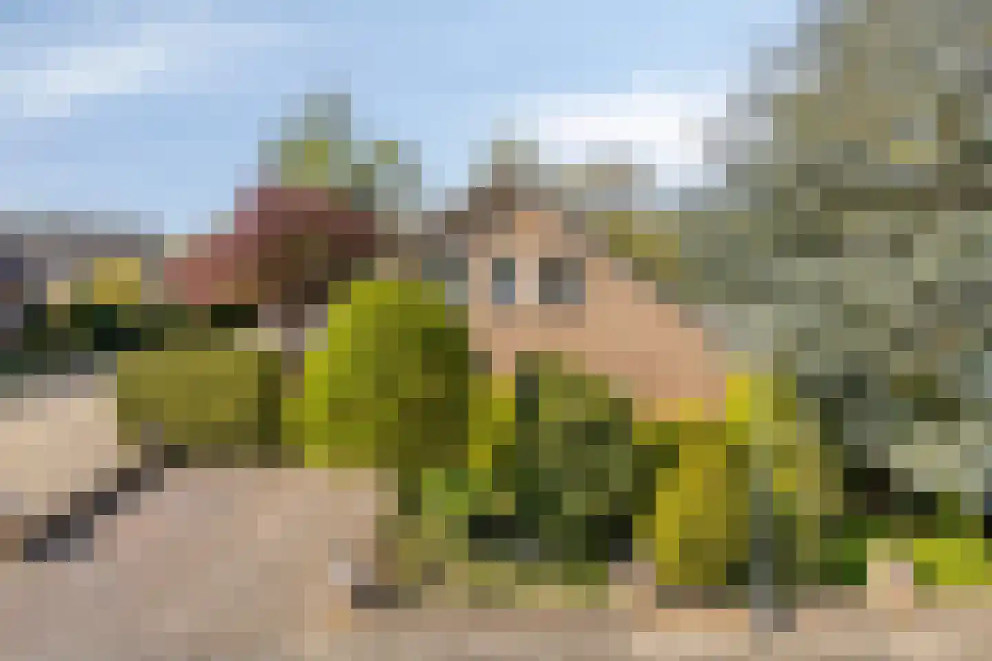 Bloedkoraal 1 Eindhoven thumbnail 51