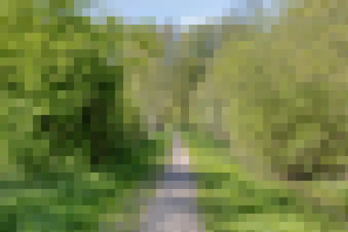 Bloedkoraal 1 Eindhoven thumbnail 53