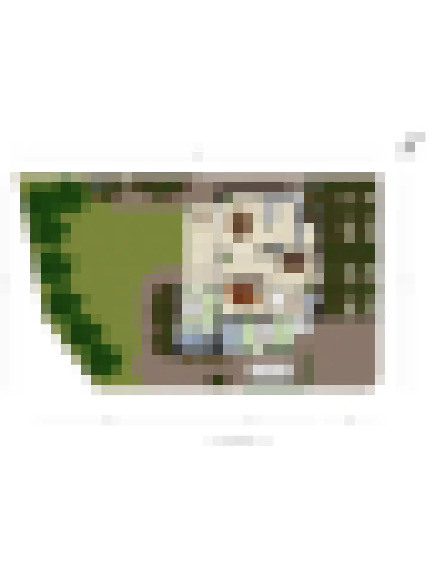Bloedkoraal 1 Eindhoven thumbnail 54