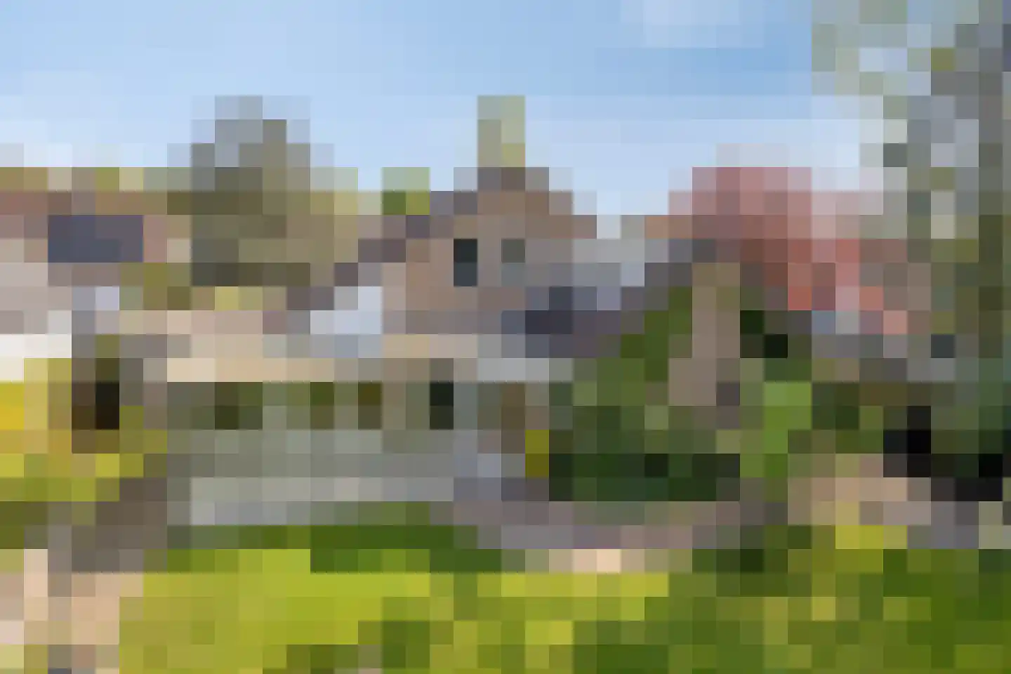 Bloedkoraal 1 Eindhoven thumbnail 6
