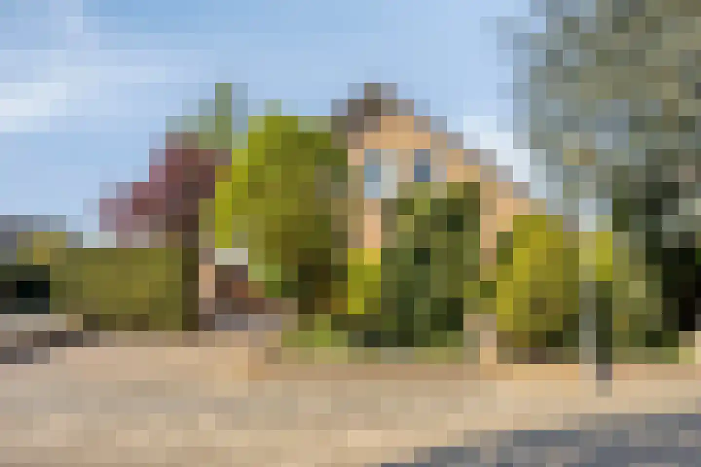 Bloedkoraal 1 Eindhoven thumbnail 7