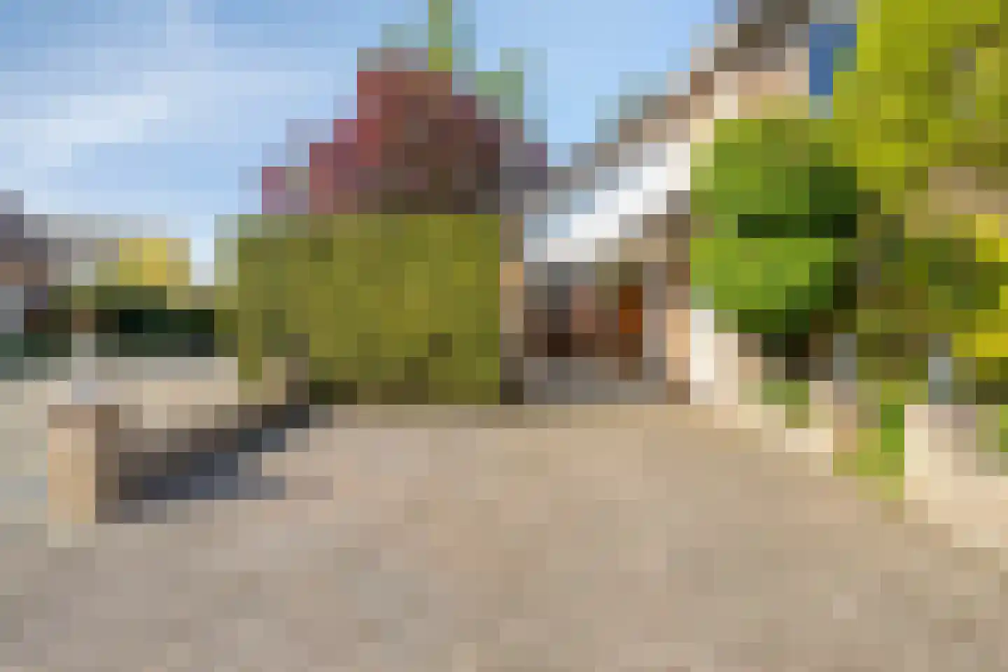 Bloedkoraal 1 Eindhoven thumbnail 8
