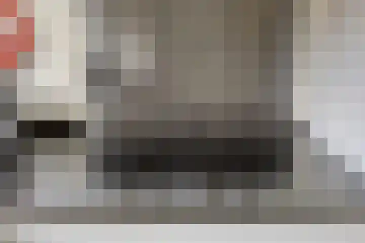 Bloedkoraal 11 Eindhoven thumbnail 10