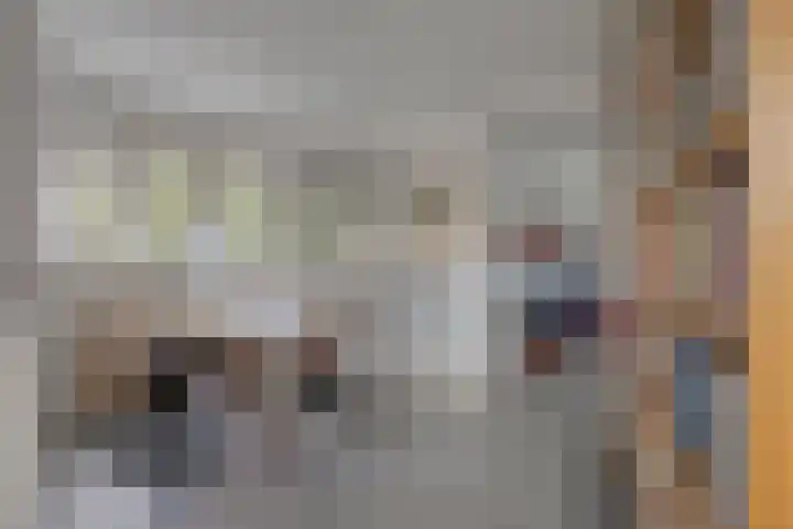 Bloedkoraal 11 Eindhoven thumbnail 15