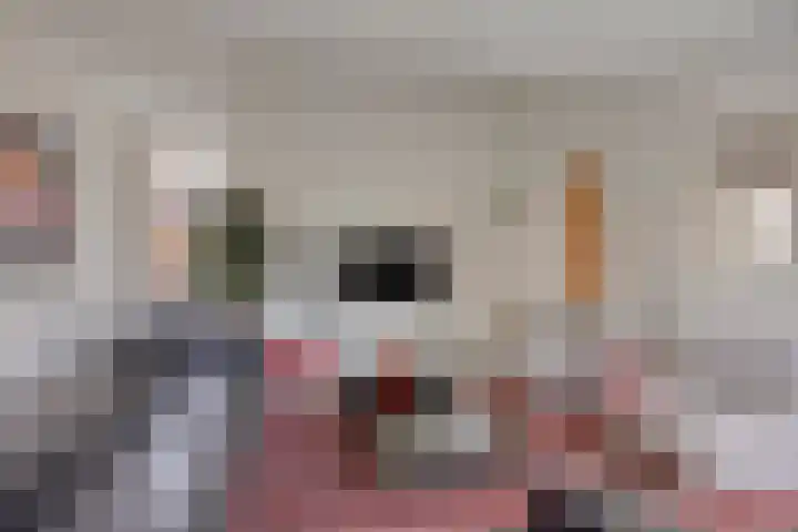 Bloedkoraal 11 Eindhoven thumbnail 18