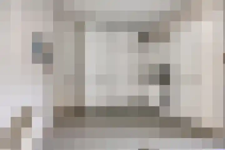 Bloedkoraal 11 Eindhoven thumbnail 21