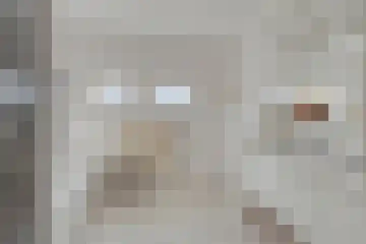 Bloedkoraal 11 Eindhoven thumbnail 25