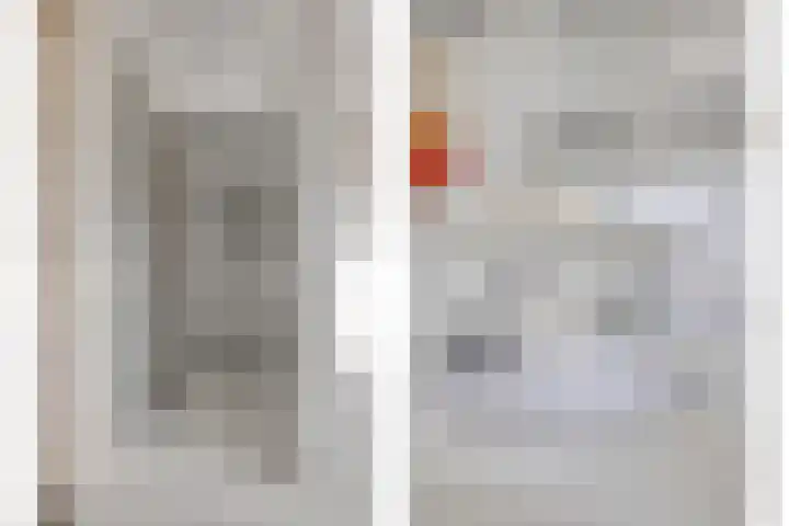 Bloedkoraal 11 Eindhoven thumbnail 26