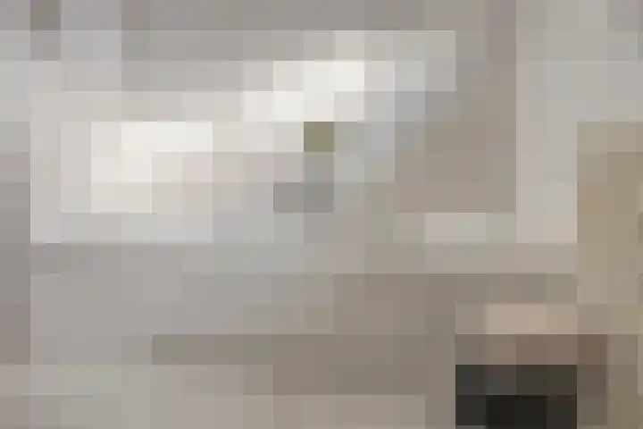 Bloedkoraal 11 Eindhoven thumbnail 27
