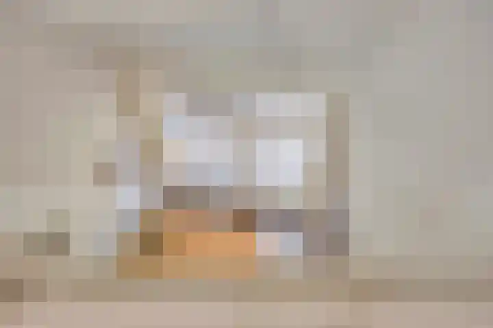 Bloedkoraal 11 Eindhoven thumbnail 29