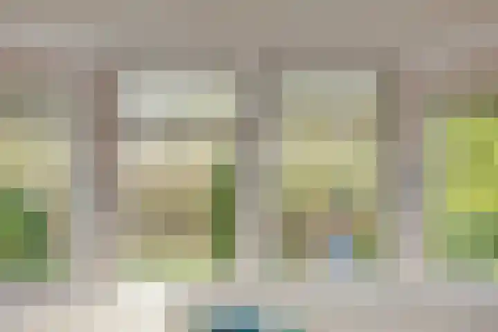 Bloedkoraal 11 Eindhoven thumbnail 31