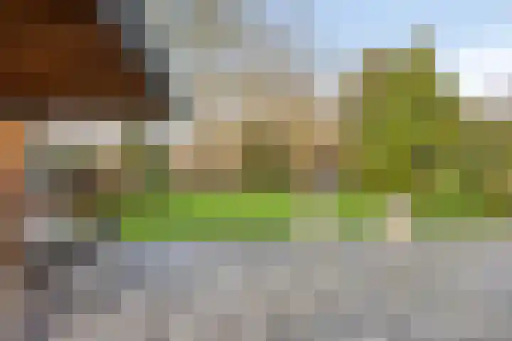 Bloedkoraal 11 Eindhoven thumbnail 33