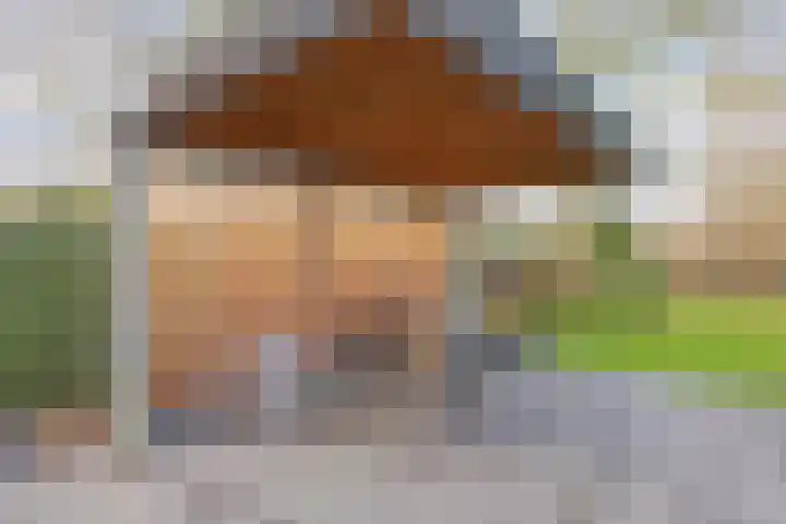 Bloedkoraal 11 Eindhoven thumbnail 34