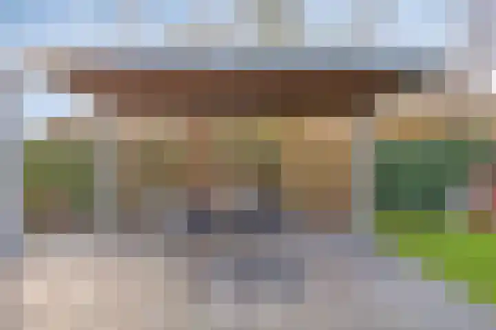 Bloedkoraal 11 Eindhoven thumbnail 35