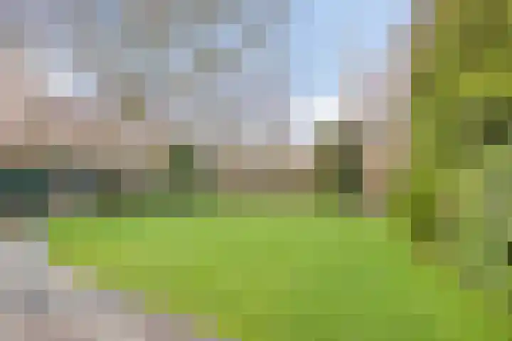 Bloedkoraal 11 Eindhoven thumbnail 36