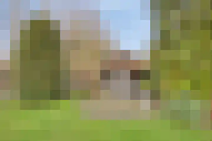 Bloedkoraal 11 Eindhoven thumbnail 37