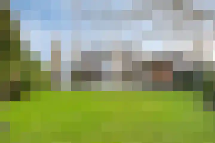 Bloedkoraal 11 Eindhoven thumbnail 38