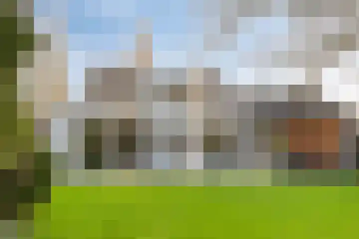 Bloedkoraal 11 Eindhoven thumbnail 39