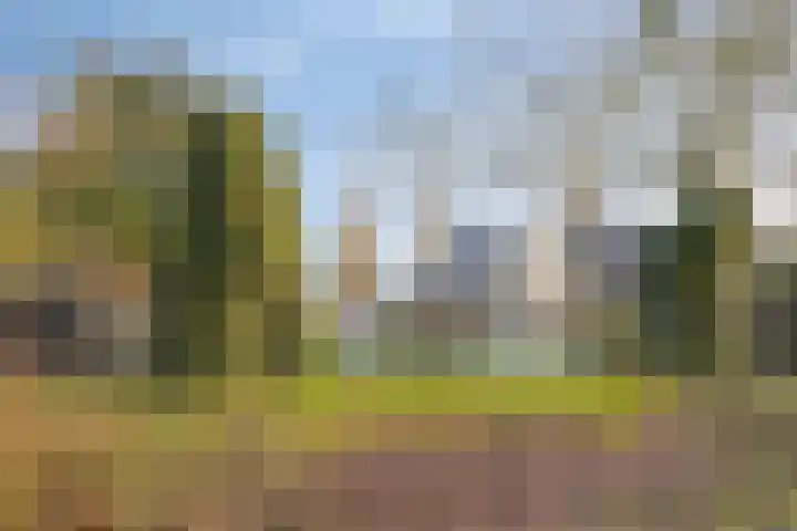 Bloedkoraal 11 Eindhoven thumbnail 40