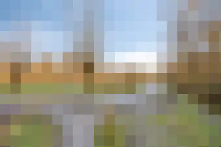 Bloedkoraal 11 Eindhoven thumbnail 43