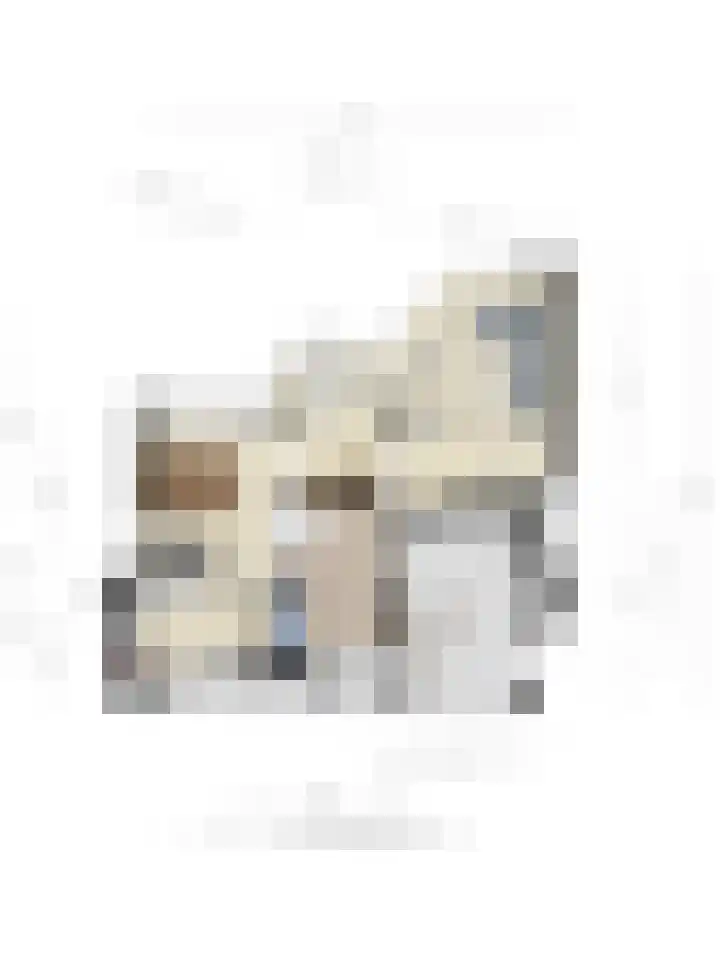 Bloedkoraal 11 Eindhoven thumbnail 44