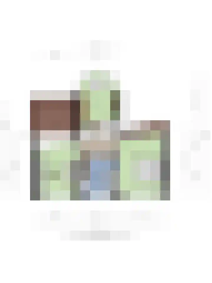 Bloedkoraal 11 Eindhoven thumbnail 45