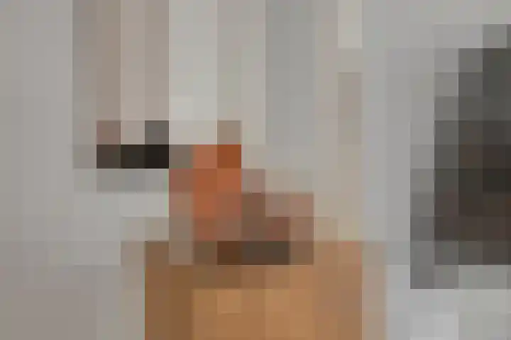 Bloedkoraal 11 Eindhoven thumbnail 6