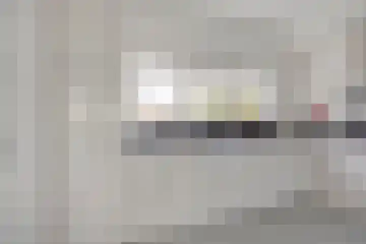 Bloedkoraal 11 Eindhoven thumbnail 7
