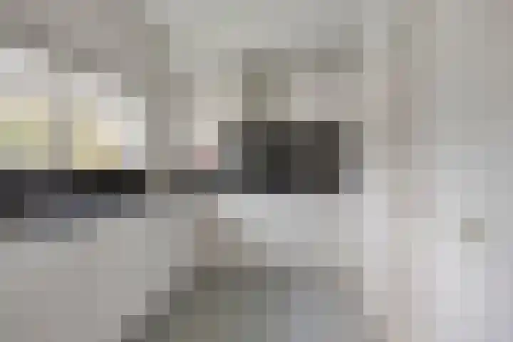 Bloedkoraal 11 Eindhoven thumbnail 8