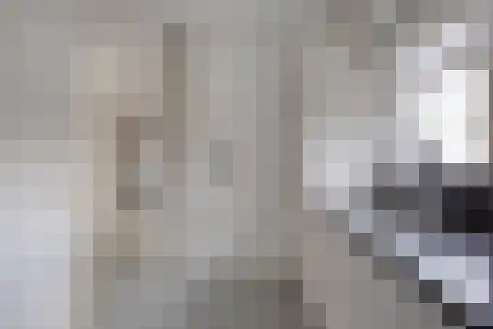 Bloedkoraal 11 Eindhoven thumbnail 9