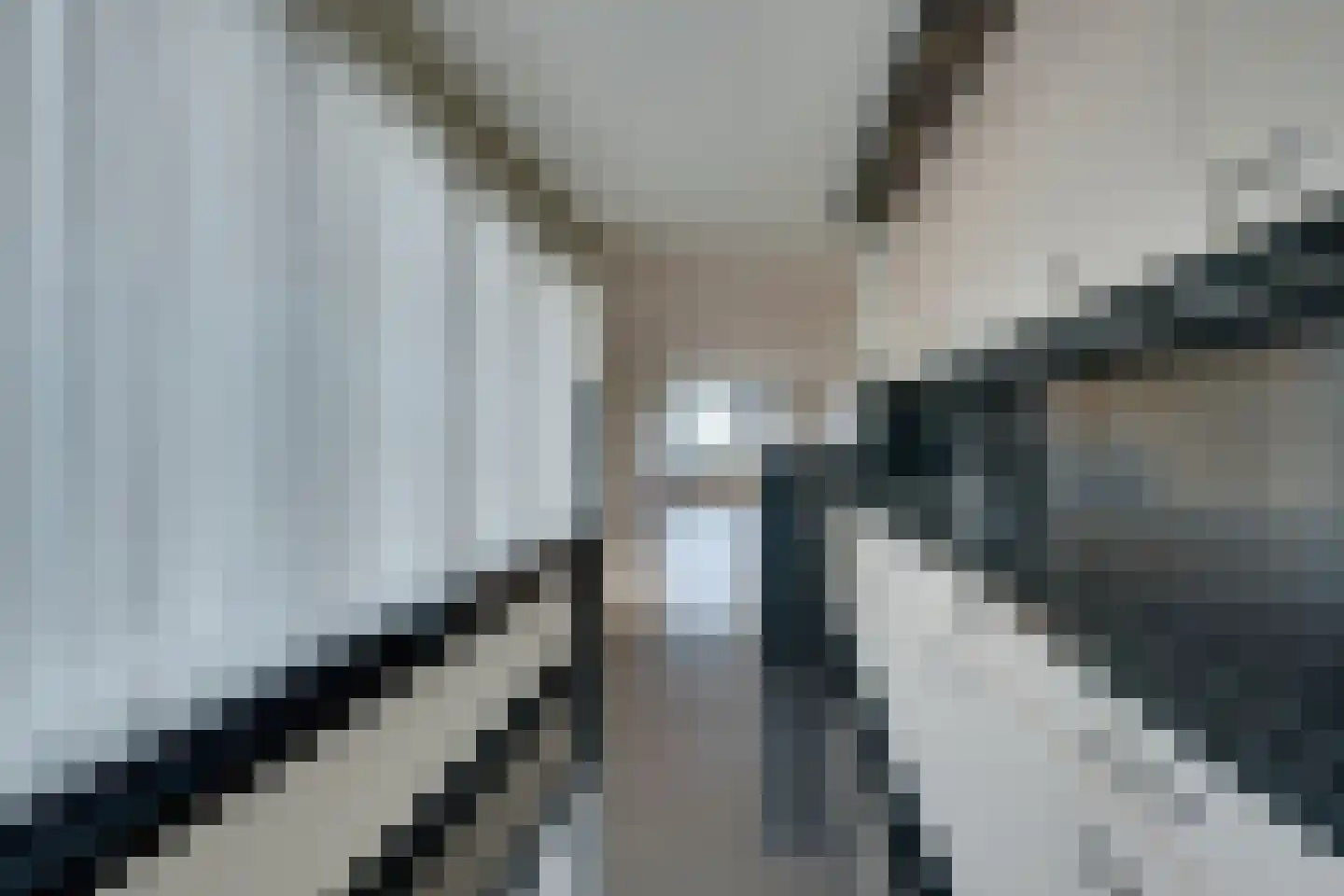 Bloedkoraal 3 Volendam thumbnail 19