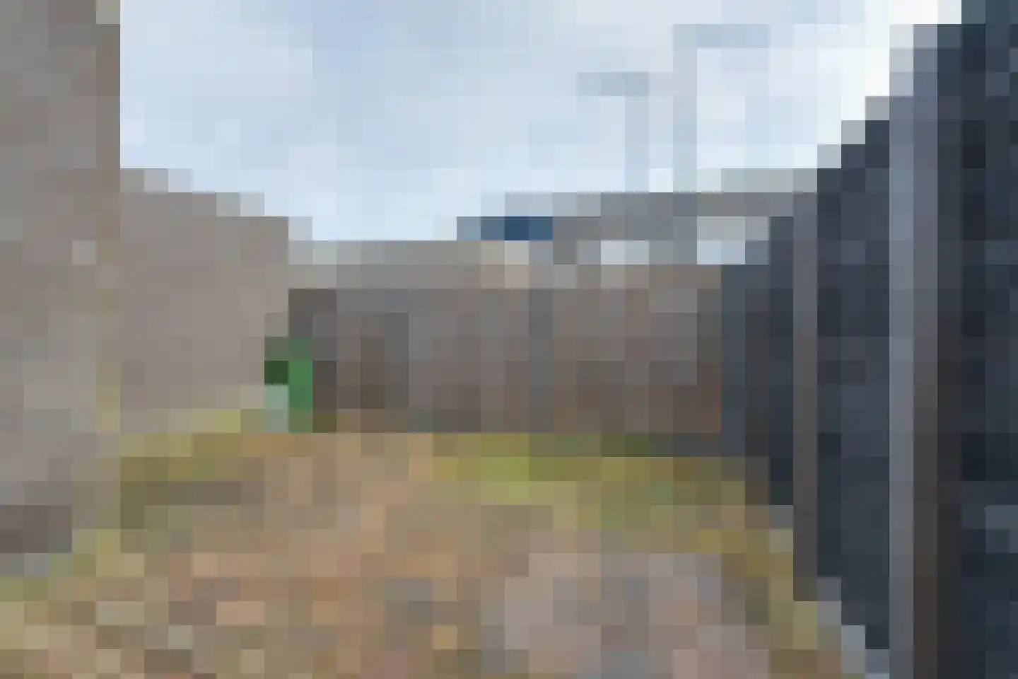 Bloedkoraal 3 Volendam thumbnail 21
