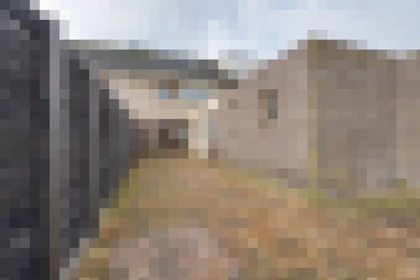 Bloedkoraal 3 Volendam thumbnail 22