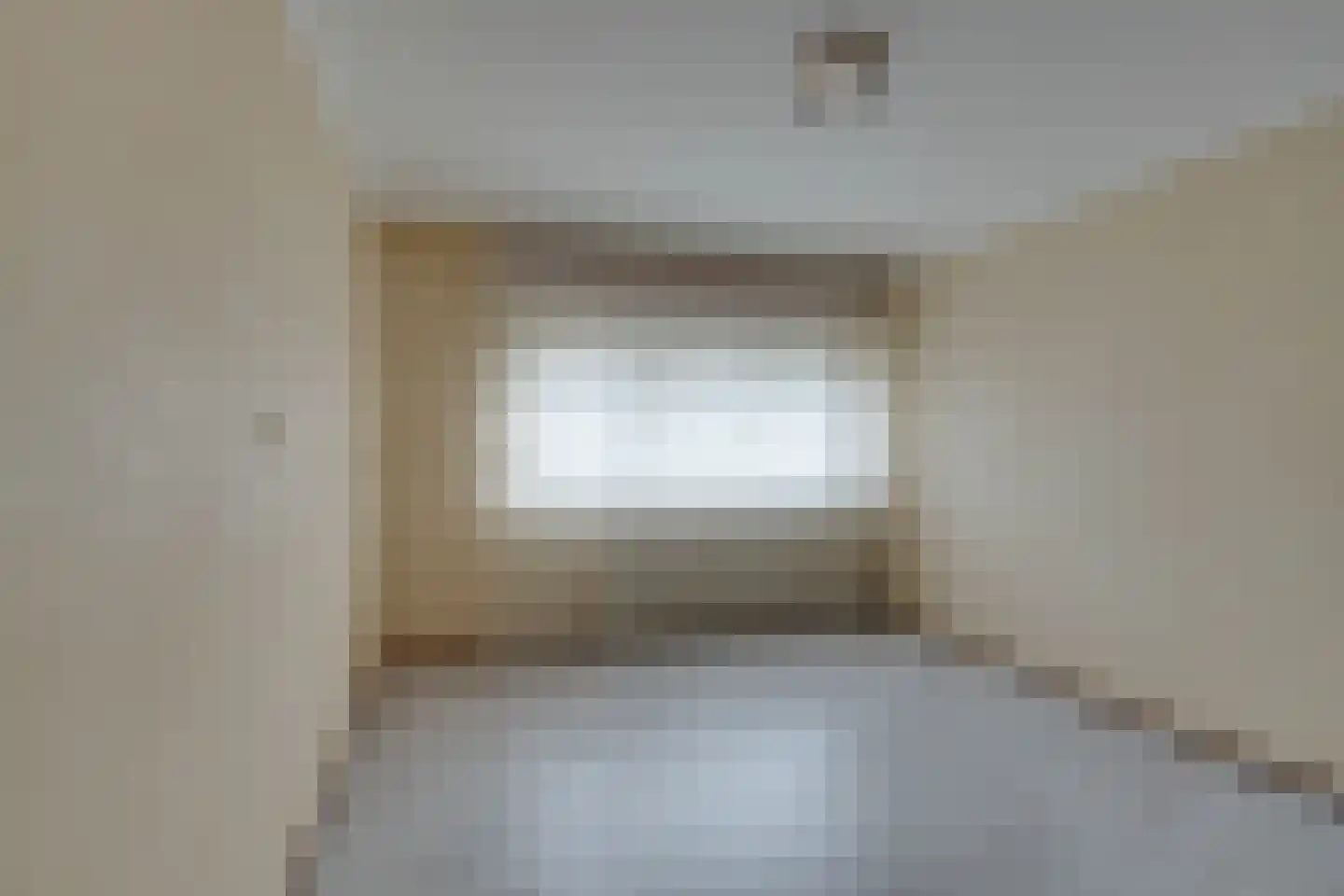 Bloedkoraal 3 Volendam thumbnail 27
