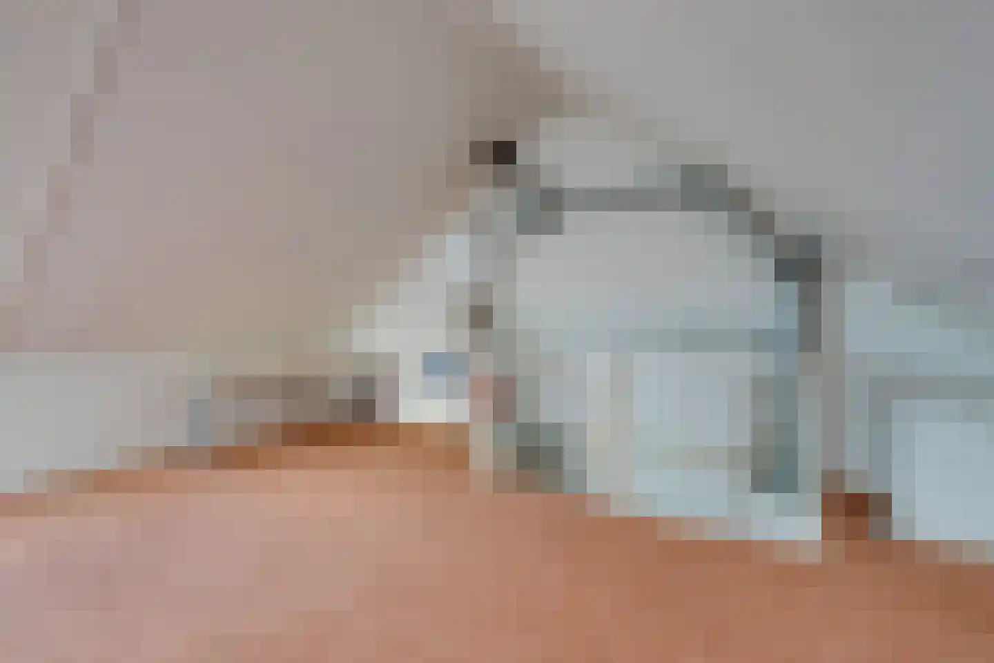 Bloedkoraal 3 Volendam thumbnail 41