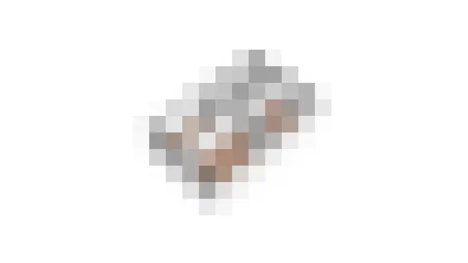 Bloedkoraal 3 Volendam thumbnail 47