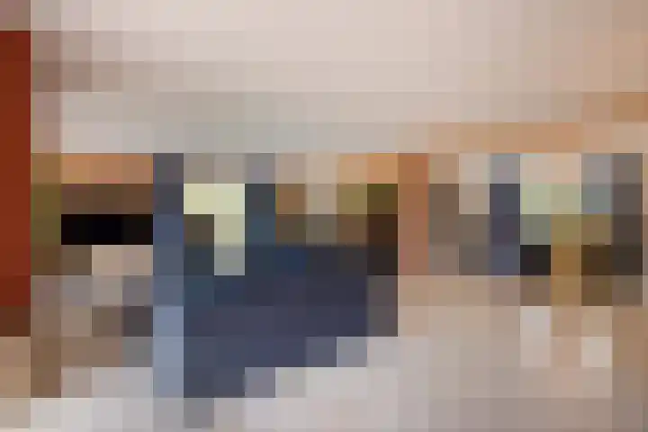 Bloedkoraal 5 Eindhoven thumbnail 10