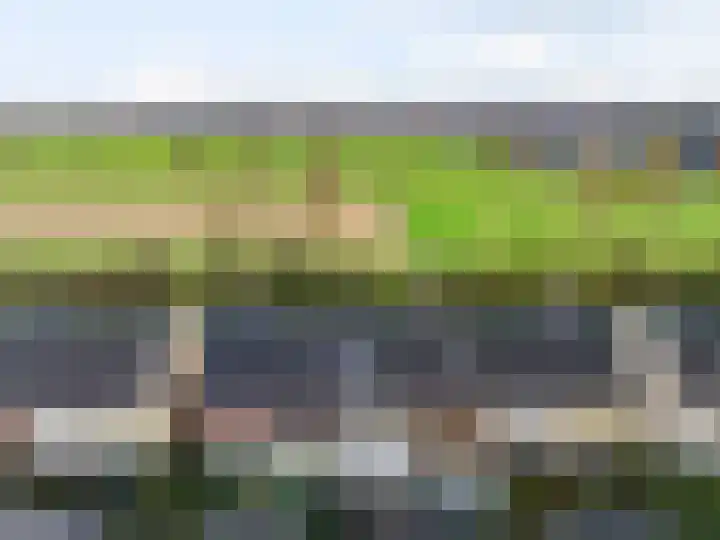 Bloedkoraal 5 Eindhoven thumbnail 13