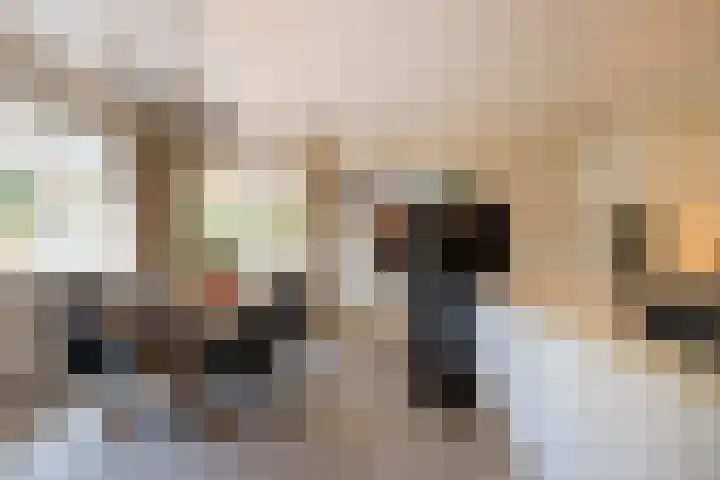 Bloedkoraal 5 Eindhoven thumbnail 17